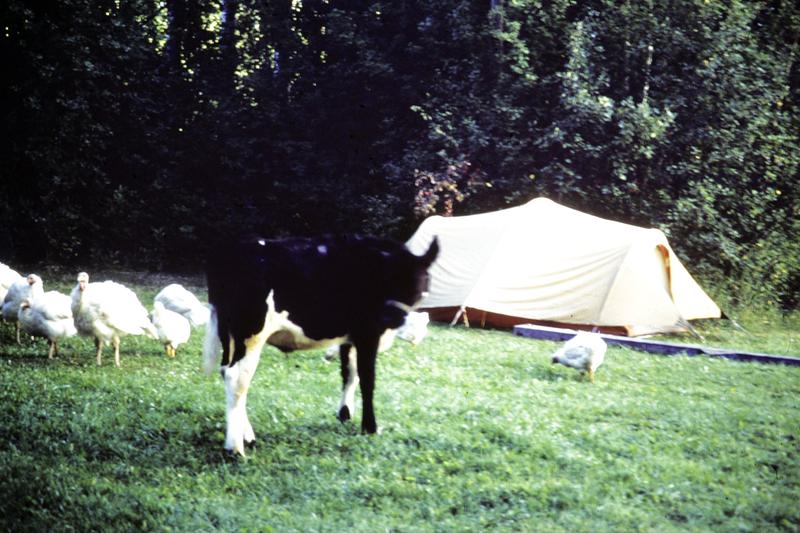 Pipers Glen Campground