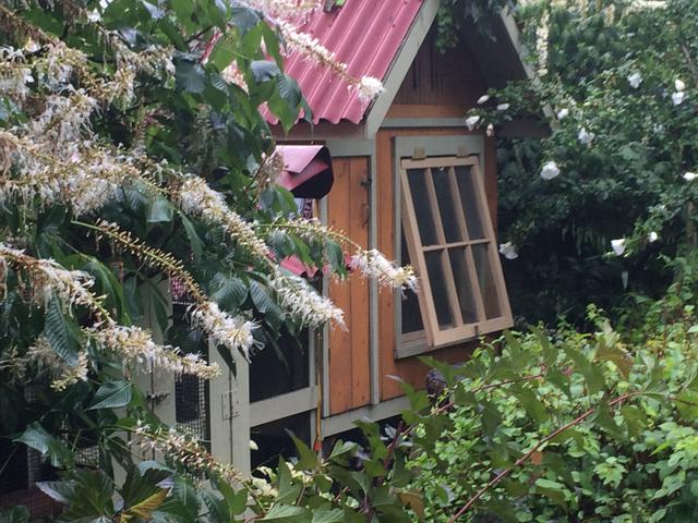 Part of the chicken housing complex