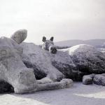 Moose With Calf Snow Sculpture on the University of Alaska Campus