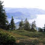 Scenic View from Sitka Hike