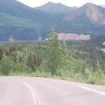 The road exiting Denali Park.