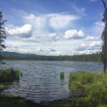 A lake on the University of Alaska, Fairbanks, campus.
