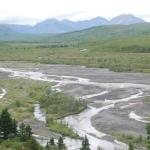 Savage River in Denali Park. I have fond memories of camping there in the 80's.
