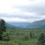 Denali Park. You would see Mt. McKinley but for the clouds.
