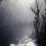 The pond where I saw a platypus. On Kangaroo Island