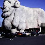 Giant Tourist Sheep