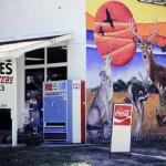 Small Store with mural.