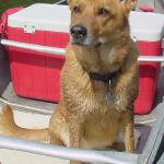 PD in a canoe