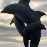 Dolphin fountain on the Malecon