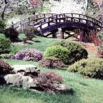 Japanese Garden Bridge. Missouri Botanical Garden.