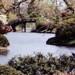 Japanese Gardens. Missouri Botanical Garden