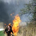 Prescribed Fire. Shaw Nature Preserve